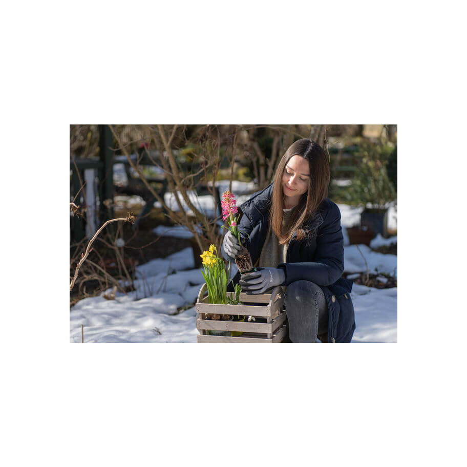 Gartenhandschuh Abies 8 | 6  Paar